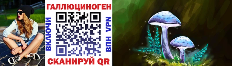 Псилоцибиновые грибы GOLDEN TEACHER  Краснокаменск 